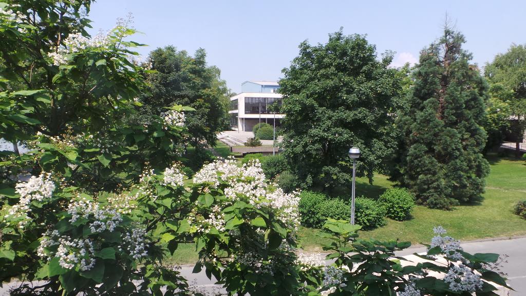 Hostel Levicki Slavonski Brod Cameră foto